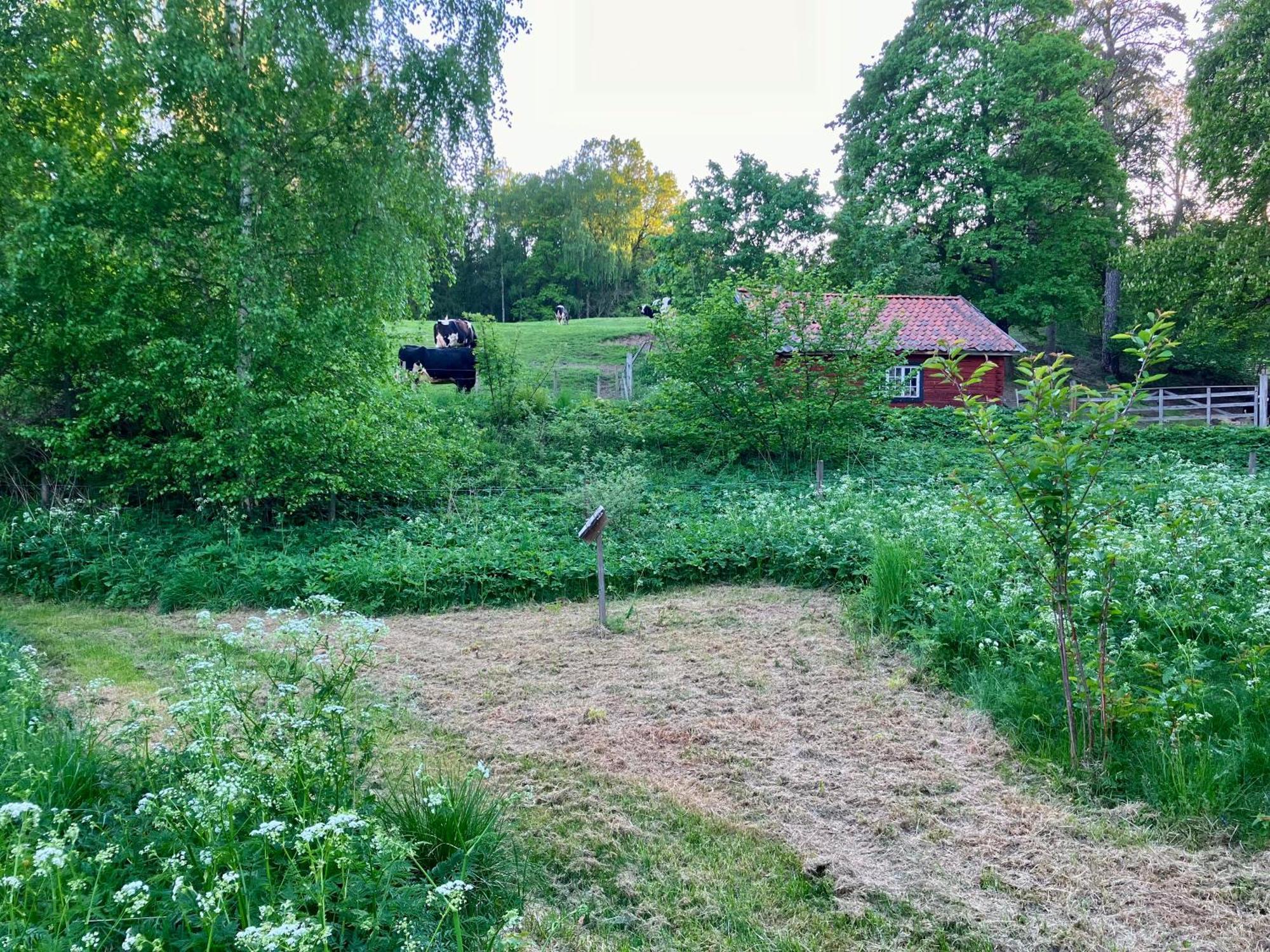 Lidhem Herrgard. Bed & Breakfast Och Mindre Laegenheter Vimmerby Luaran gambar