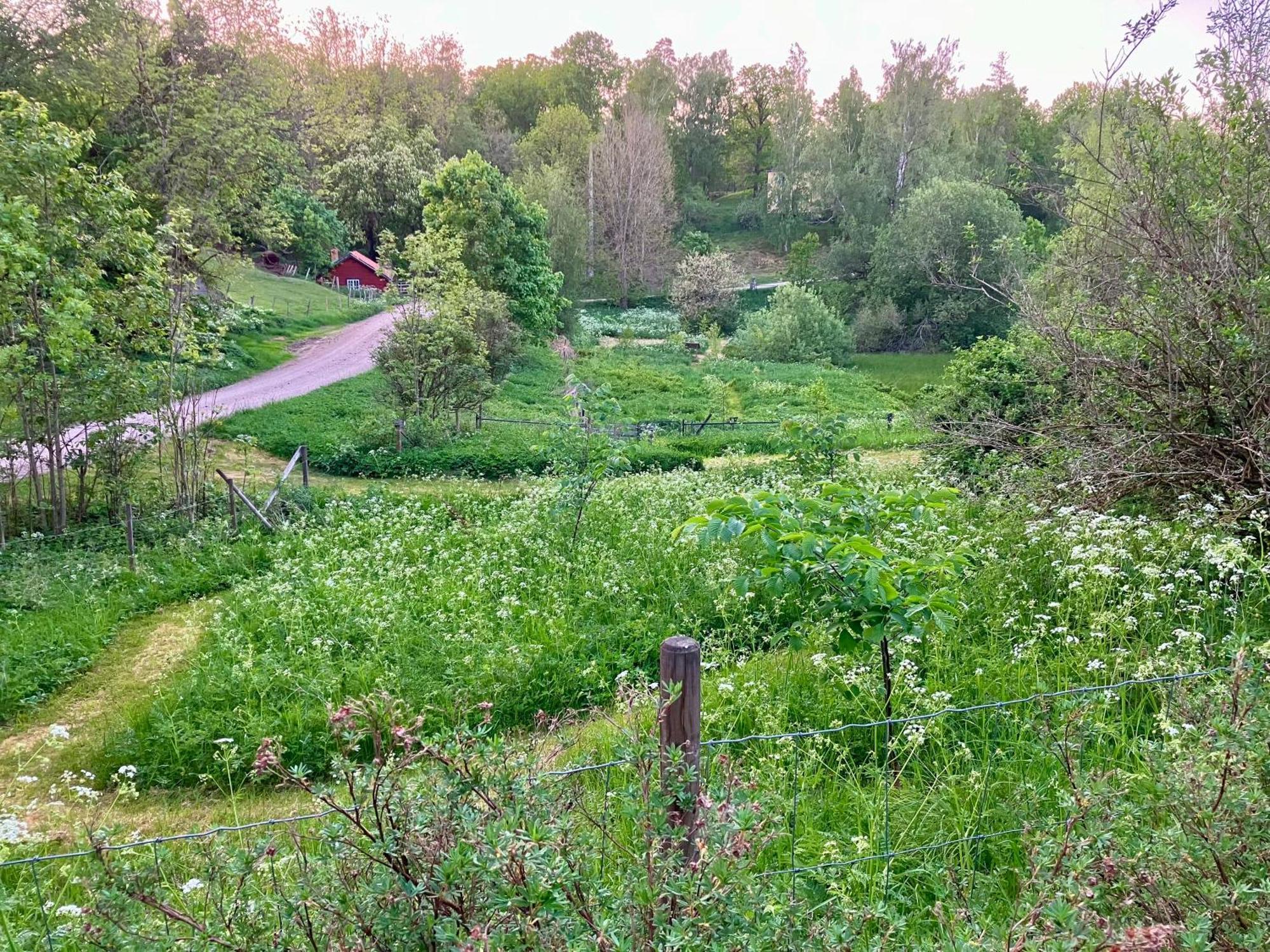 Lidhem Herrgard. Bed & Breakfast Och Mindre Laegenheter Vimmerby Luaran gambar